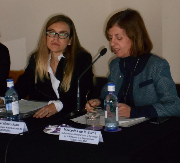 BROSETA y el Ministerio de Sanidad, Servicios Sociales e Igualdad organizan la IV Jornada Técnica de la Red DIE