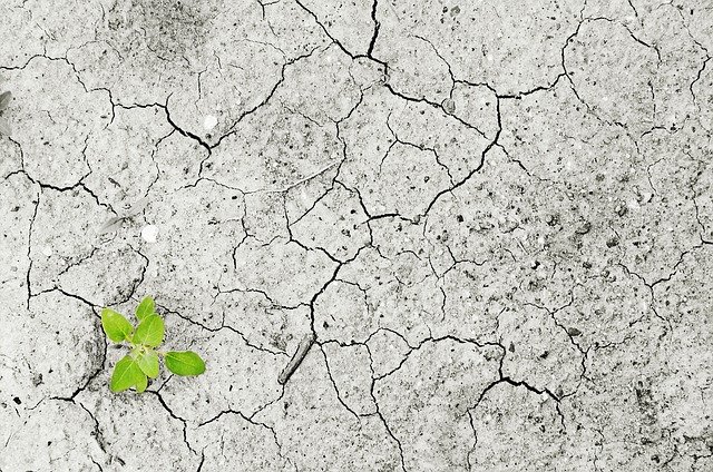 Anteproyecto de Ley del Cambio Climático y Transición Ecológica de la Comunitat Valenciana