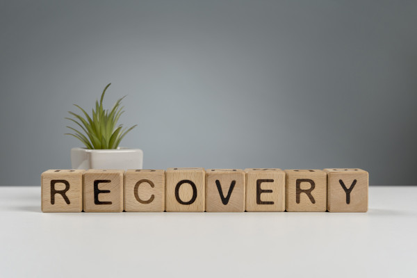BROSETA reflects on recovery funds in the Community of Valencia