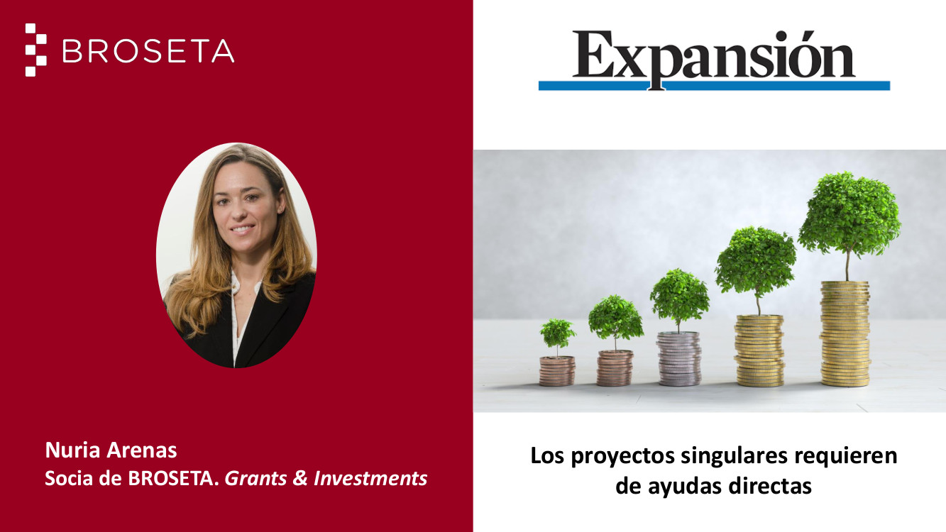 Los proyectos singulares requieren de ayudas directas