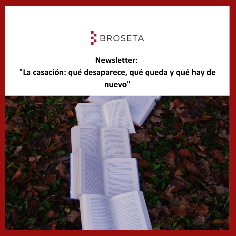Newsletter: «La casación: qué desaparece, qué queda y qué hay de nuevo»