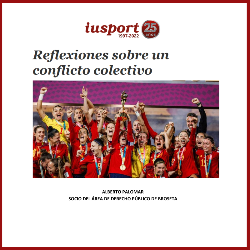 Reflexiones sobre un conflicto colectivo
