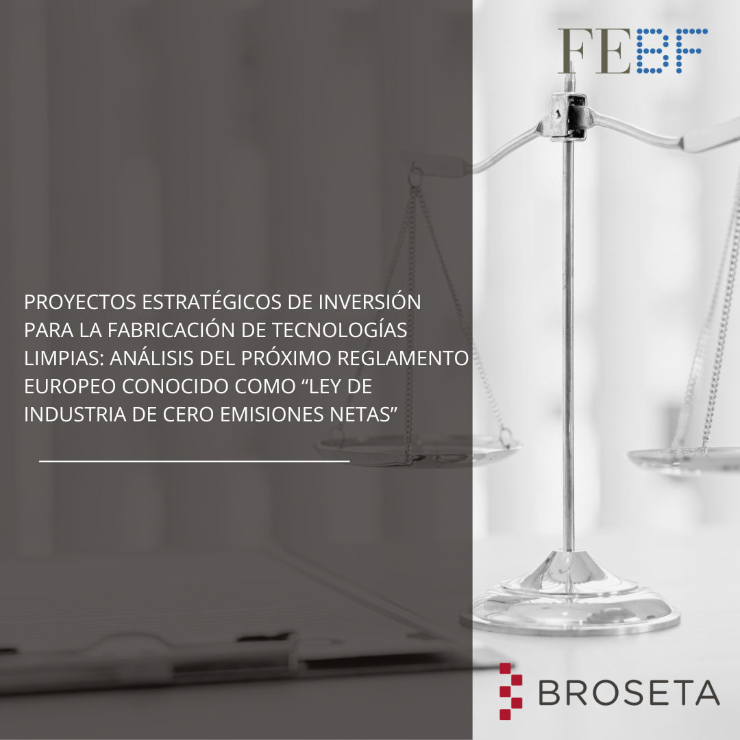 Proyectos estratégicos de inversión para la fabricación de tecnologías limpias. Fundación de Estudios Bursátiles y Financieros