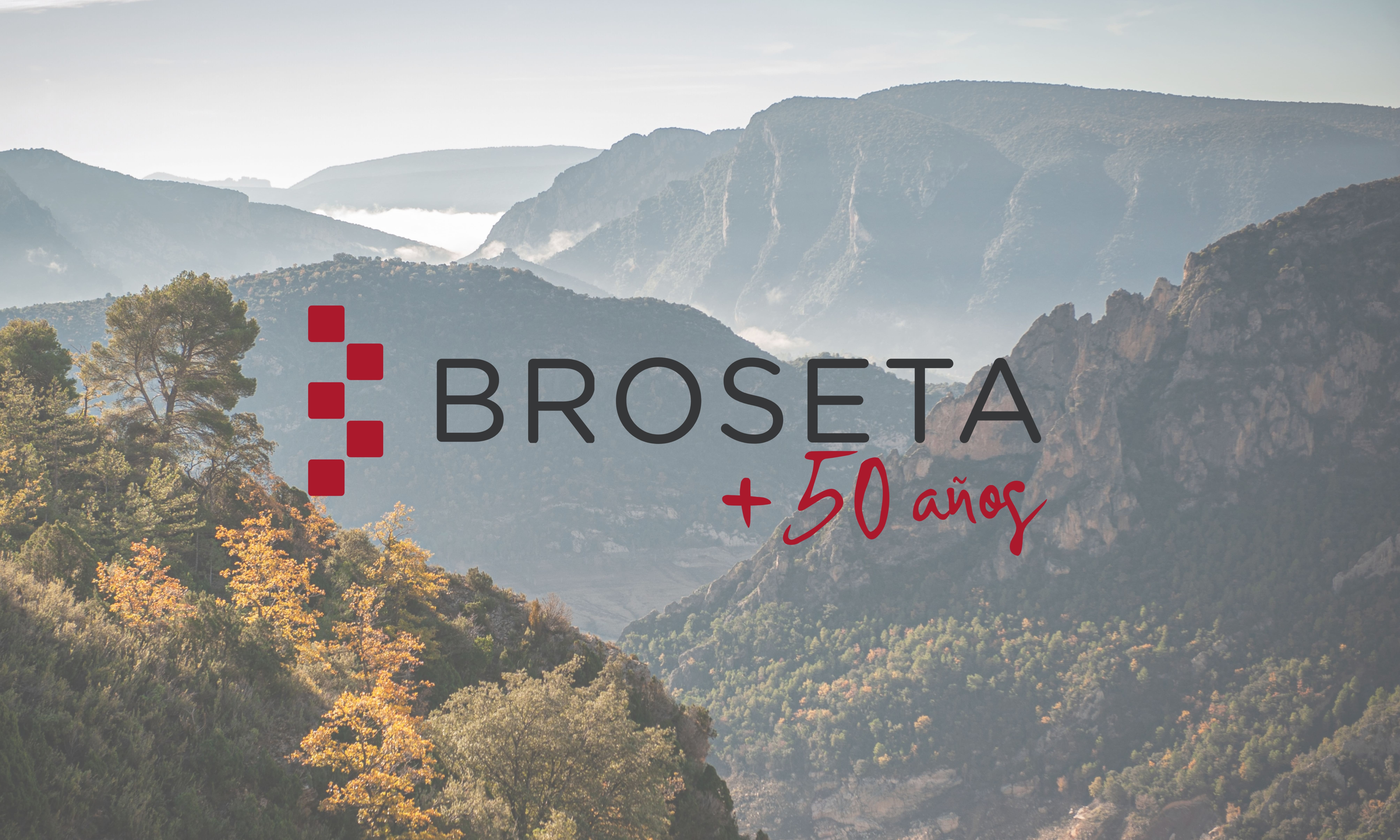 BROSETA Celebrates 50 Years