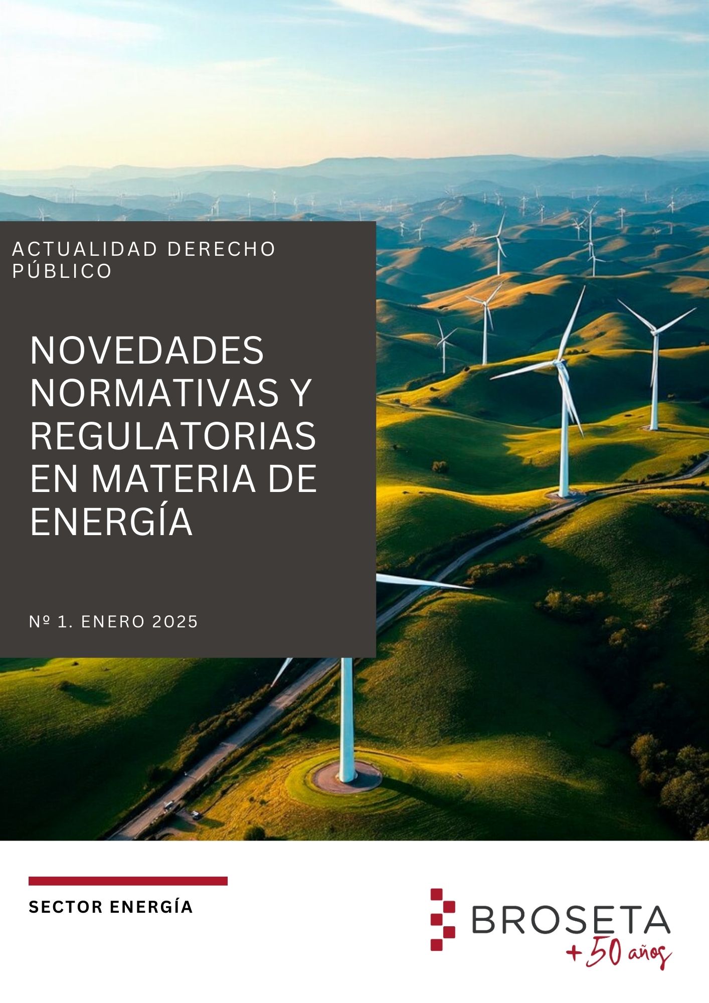 Newsletters: Novedades normativas y regulatorias en materia de Energía. Enero 2025